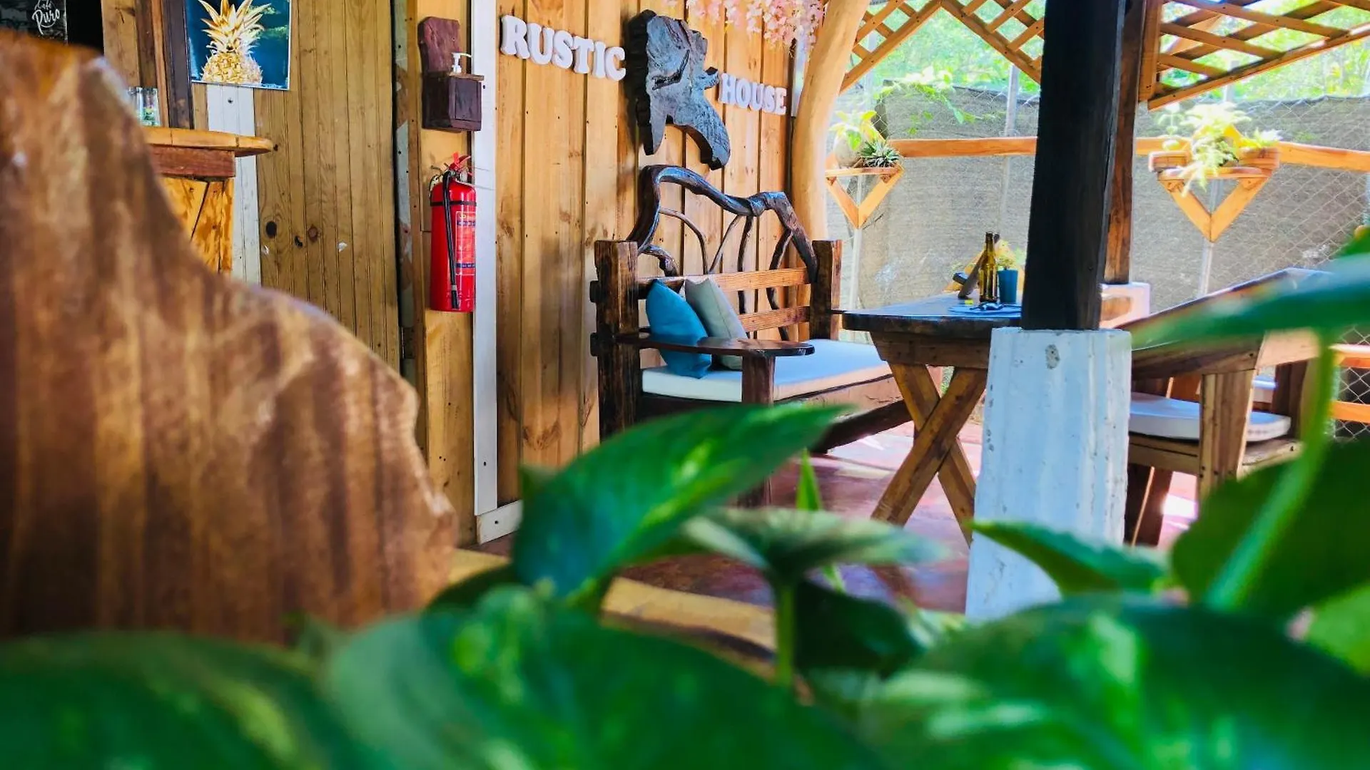 Rustic House 2 Apartment Punta Rucia